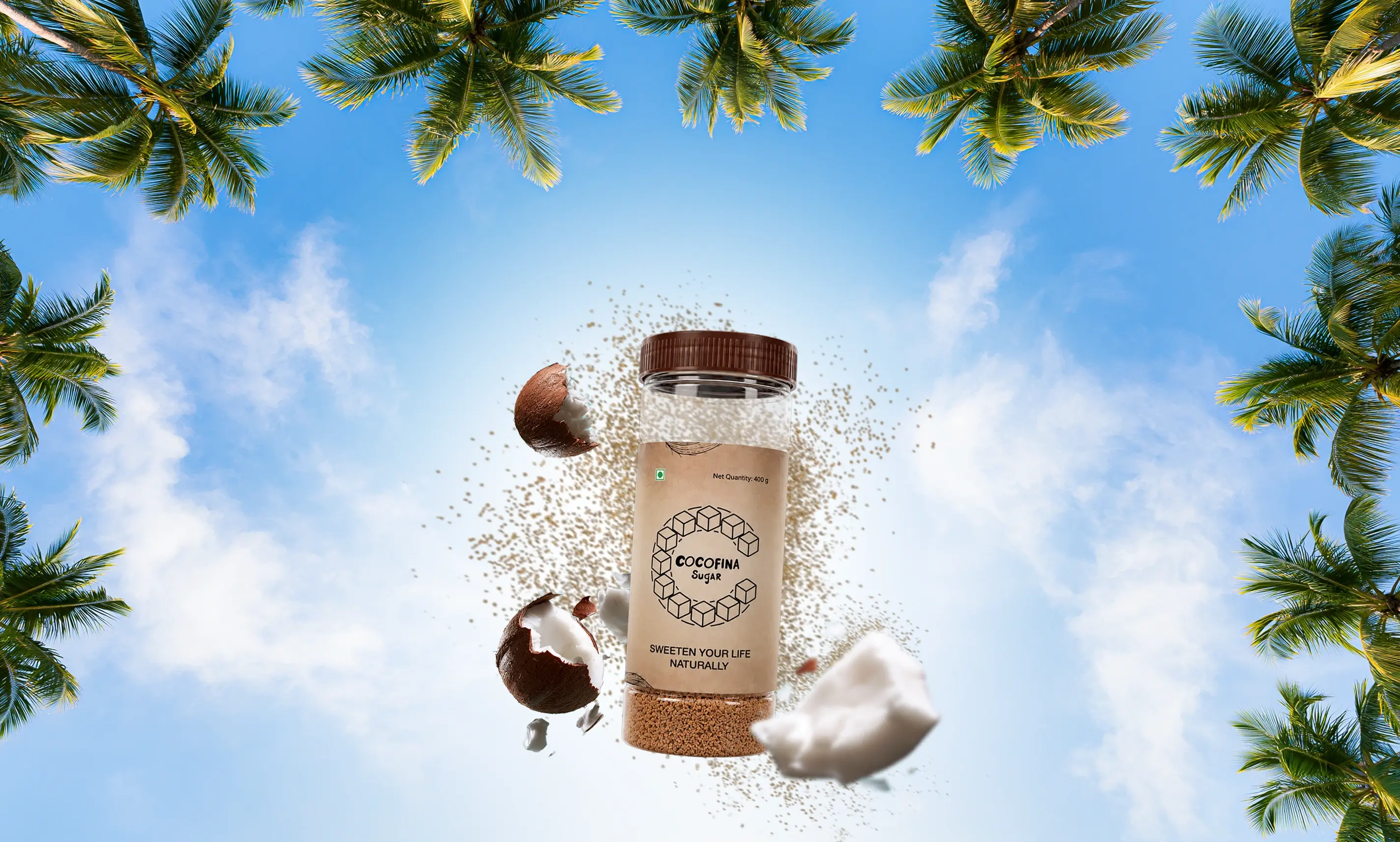Sustainable Coconut Tapping Process